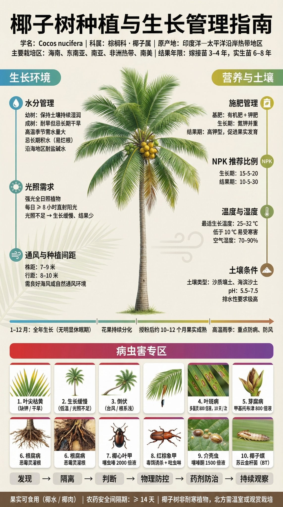 果树种植科普展板 | 3:4 竖版 | 博物馆级信息设计
【主标题】
「××果树种植与结果管理指南」
字体：思源黑体 / 思源宋体混排，确保中文清晰渲染

【副