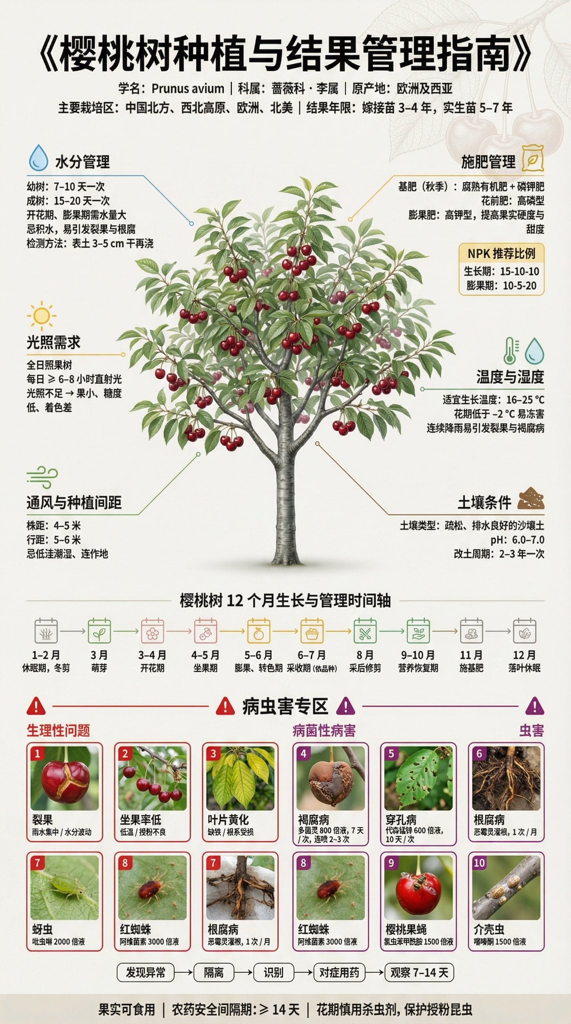 果树种植科普展板 | 3:4 竖版 | 博物馆级信息设计
【主标题】
「××果树种植与结果管理指南」
字体：思源黑体 / 思源宋体混排，确保中文清晰渲染

【副