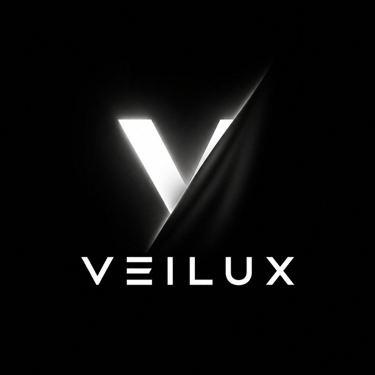 Create a premium black-and-white optical logo for a fictional brand.

Use a pure